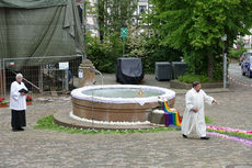 Bluemteppich auf dem Naumburegr Marktplatz (Foto: Karl-Franz Thiede)